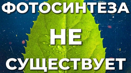 fotosintez.jpg